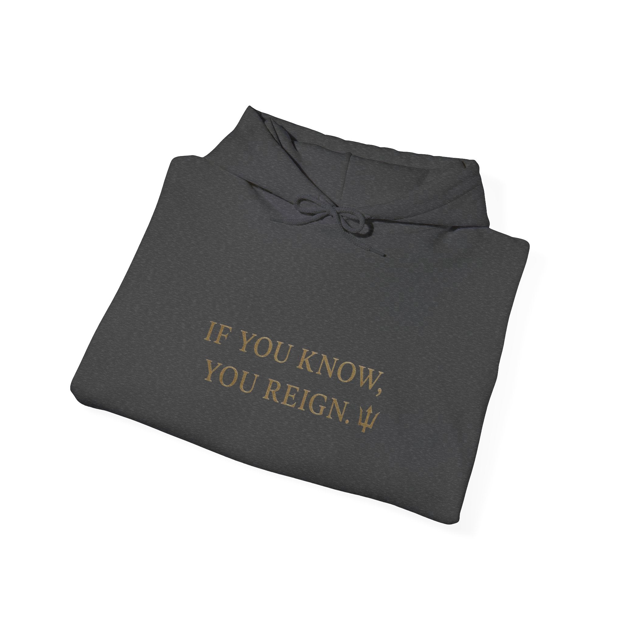 If You Know, You Reign Sweatshirt | Cozy Unisex Hoodie for Empowerment, Casual Wear, Gift for Friends, Inspirational Apparel