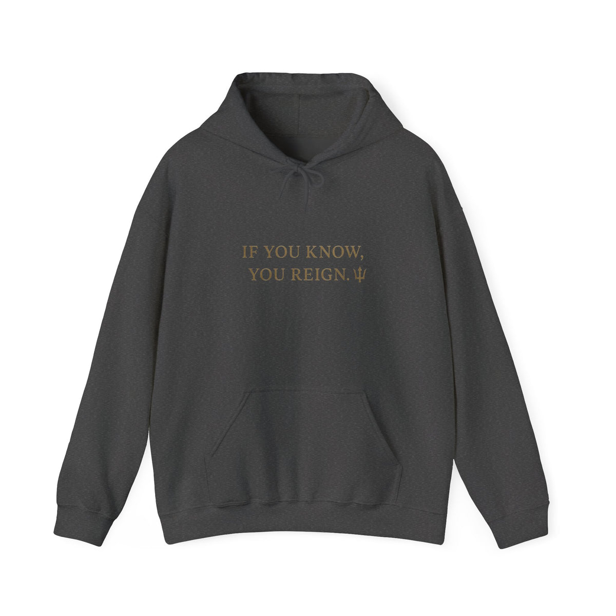 If You Know, You Reign Sweatshirt | Cozy Unisex Hoodie for Empowerment, Casual Wear, Gift for Friends, Inspirational Apparel