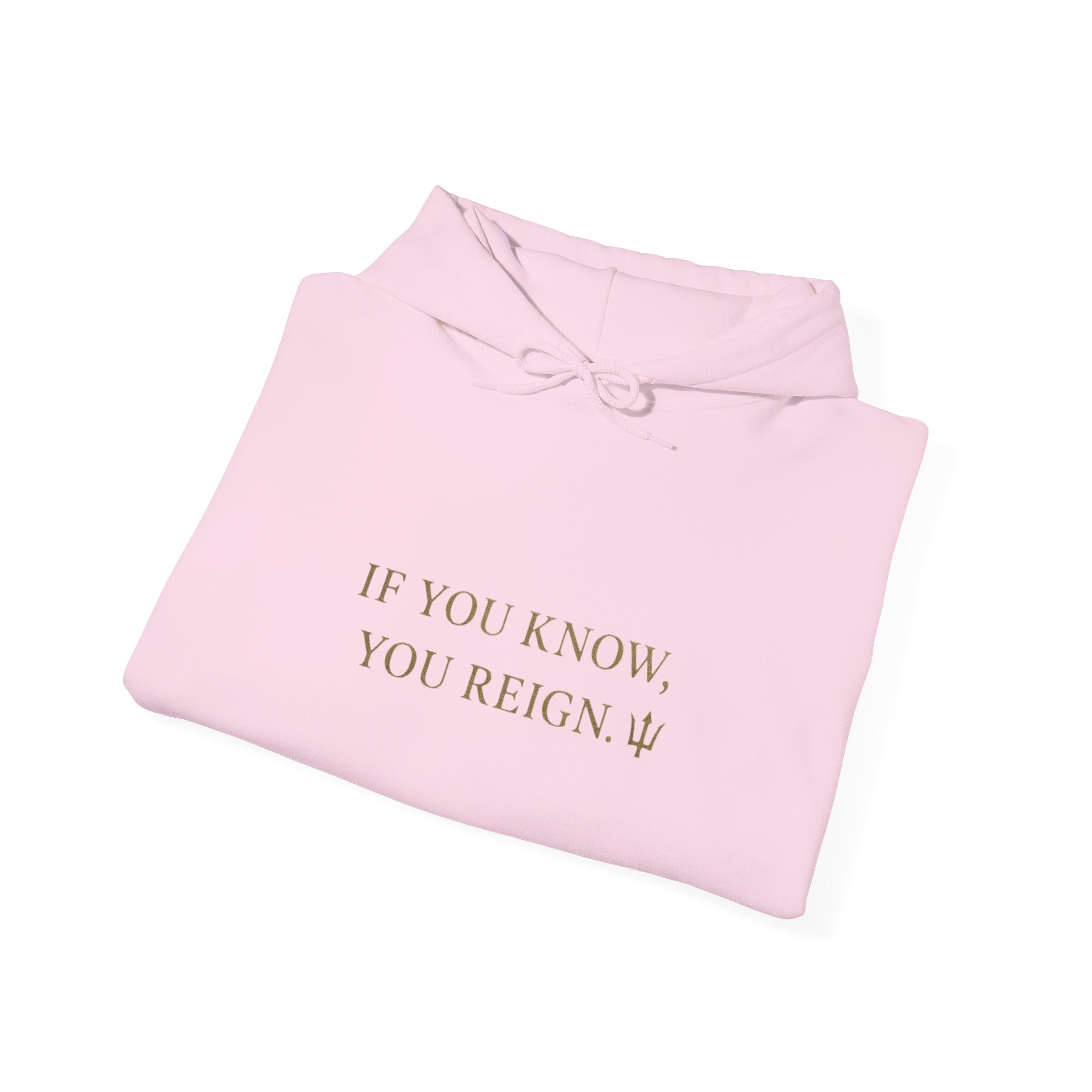 If You Know, You Reign Sweatshirt | Cozy Unisex Hoodie for Empowerment, Casual Wear, Gift for Friends, Inspirational Apparel
