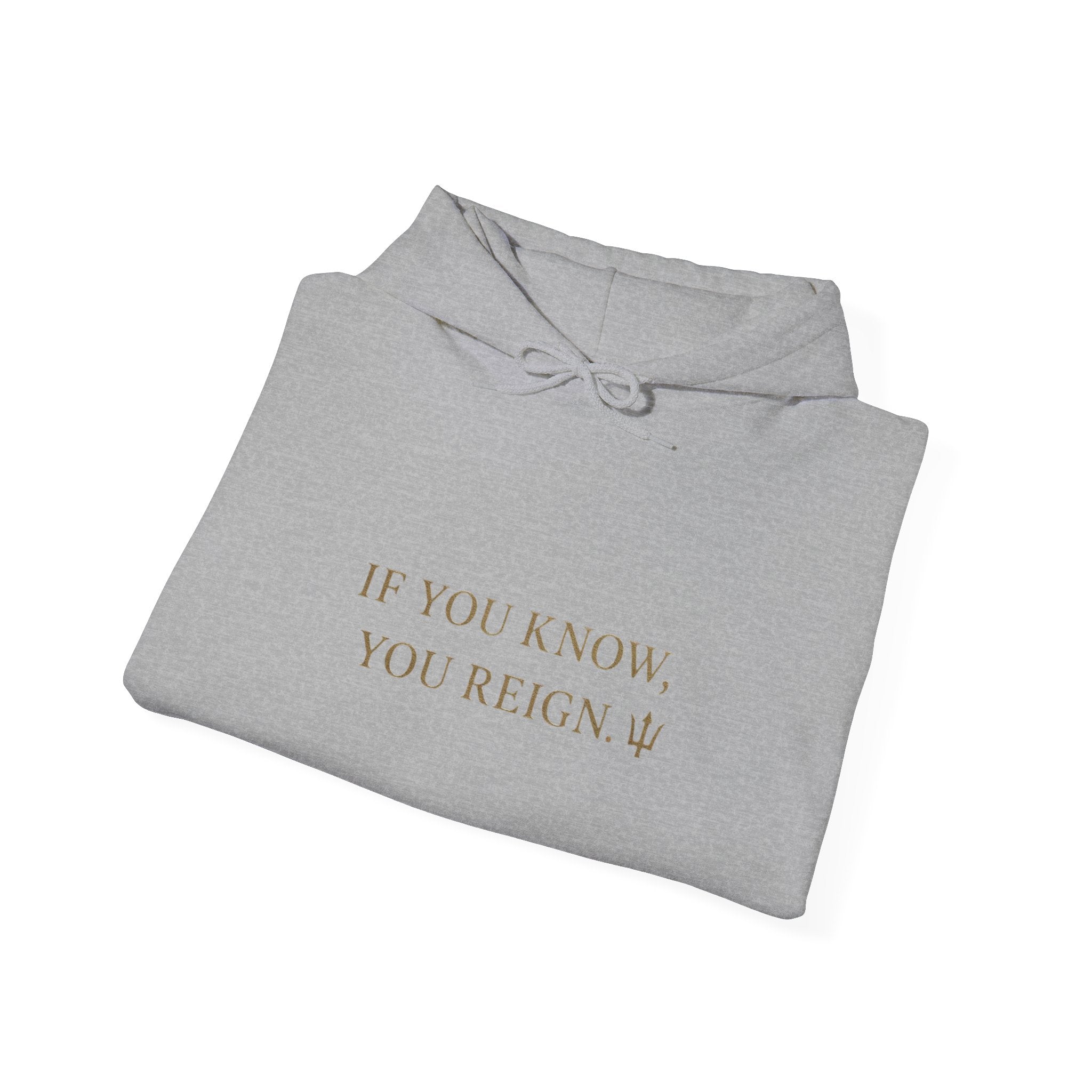 If You Know, You Reign Sweatshirt | Cozy Unisex Hoodie for Empowerment, Casual Wear, Gift for Friends, Inspirational Apparel