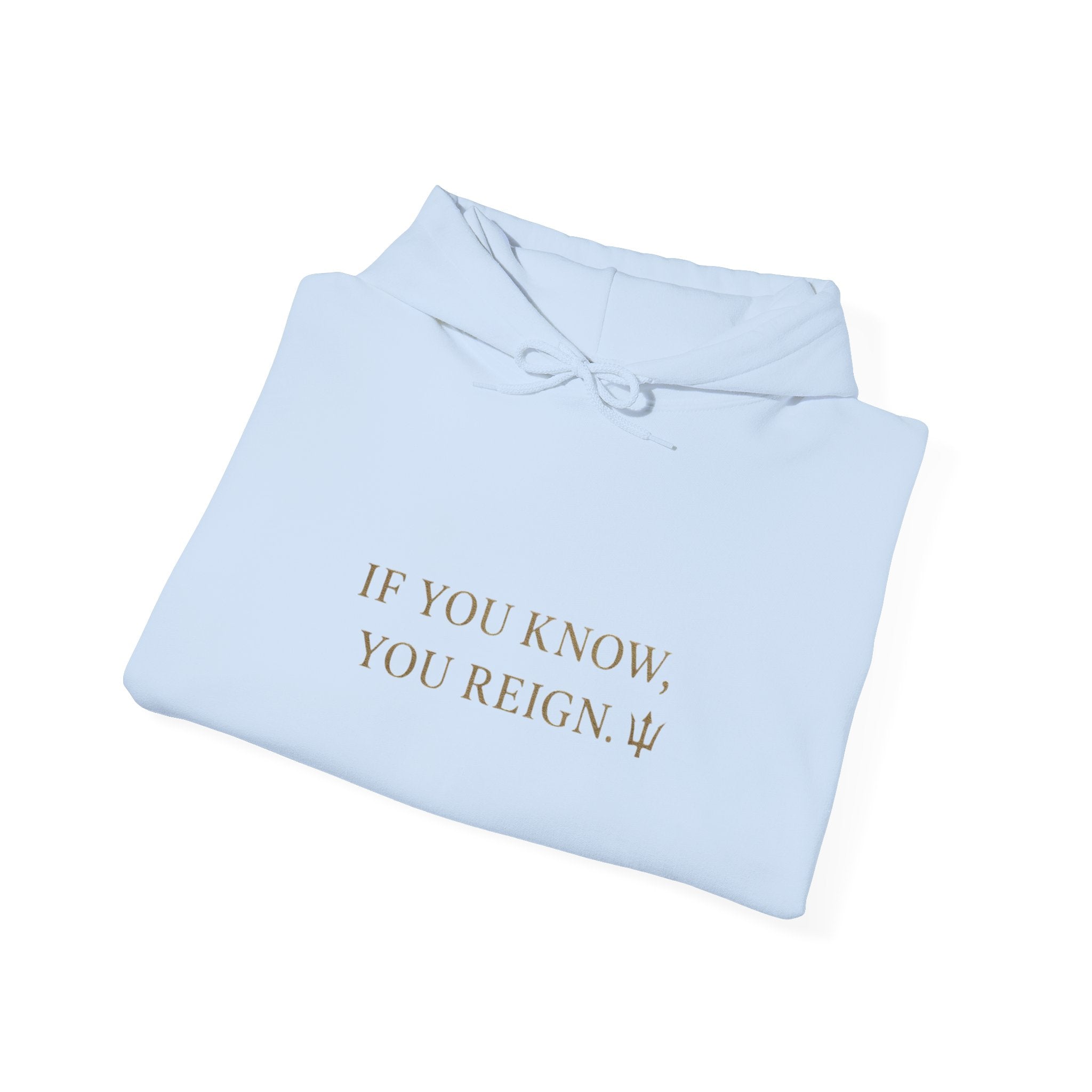 If You Know, You Reign Sweatshirt | Cozy Unisex Hoodie for Empowerment, Casual Wear, Gift for Friends, Inspirational Apparel