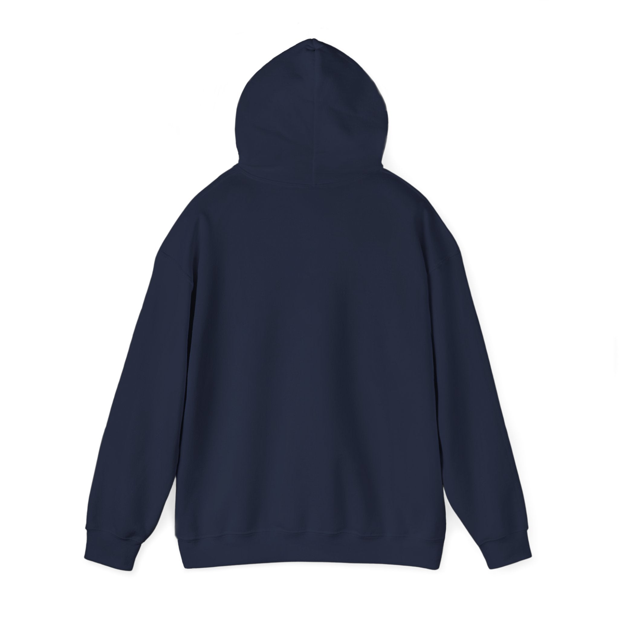 Not Easily Impressed Hoodie — Minimalist Sarcastic Statement Pullover
