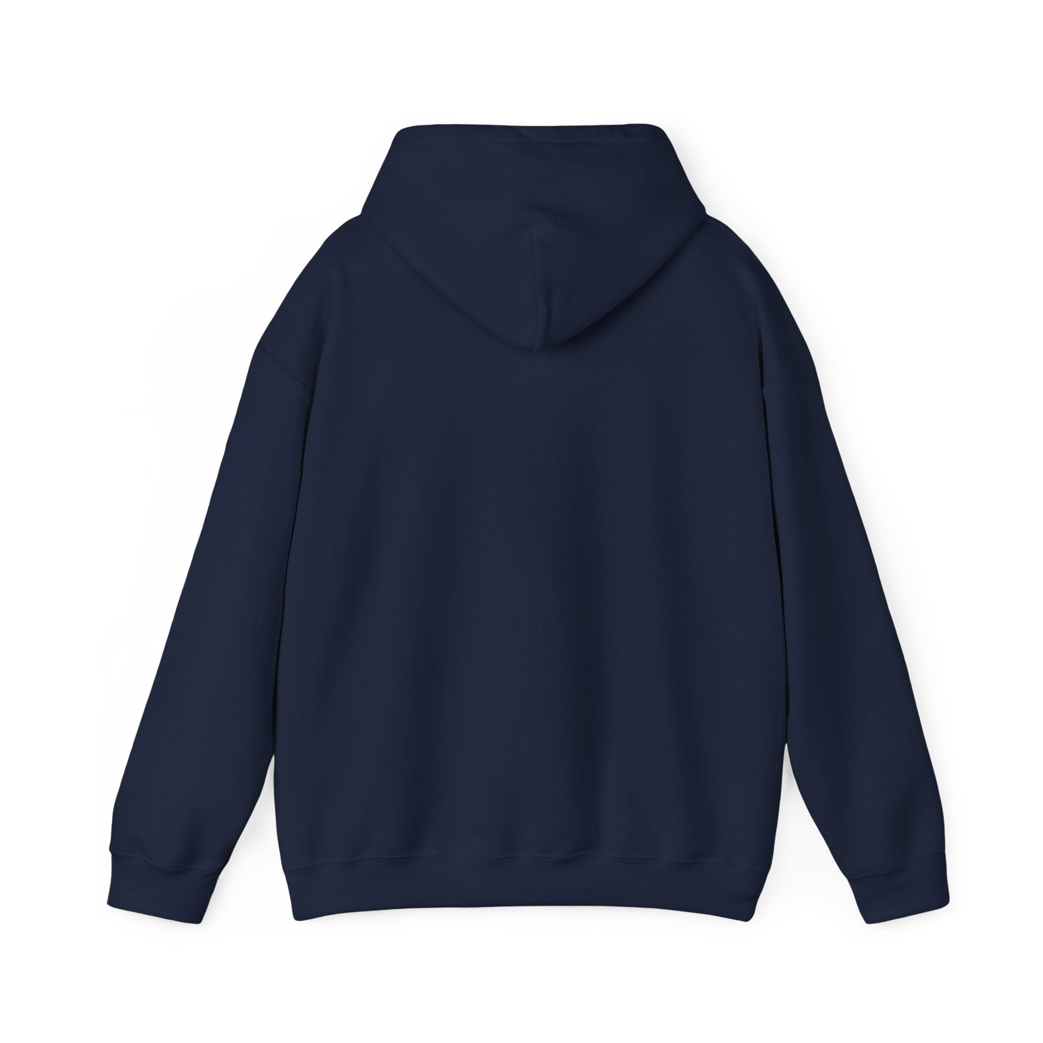 Not Easily Impressed Hoodie — Minimalist Sarcastic Statement Pullover